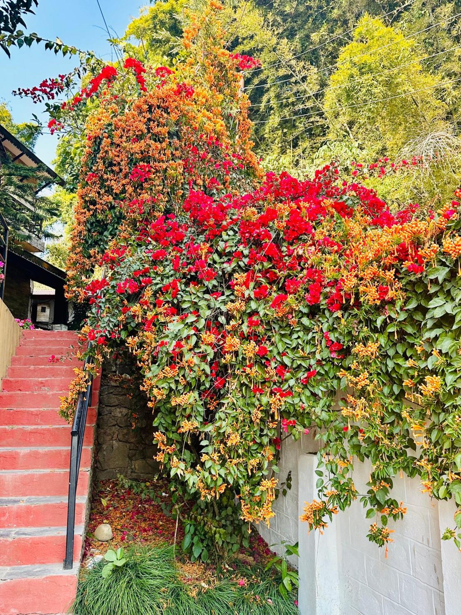 Homeland Forest Villa ポカラ エクステリア 写真